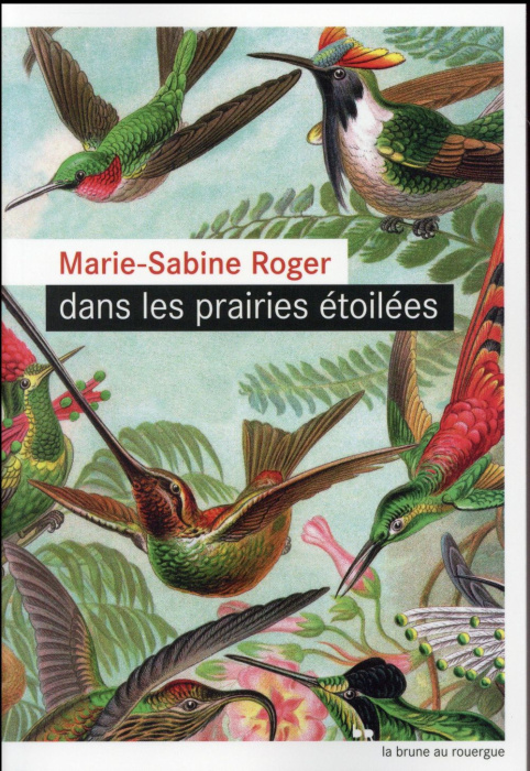 Emprunter Dans les prairies étoilées livre
