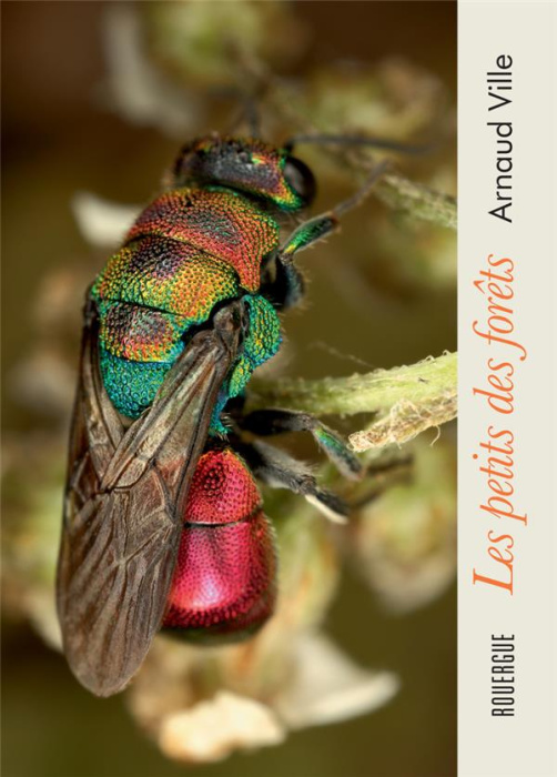 Emprunter Les petits des forêts livre