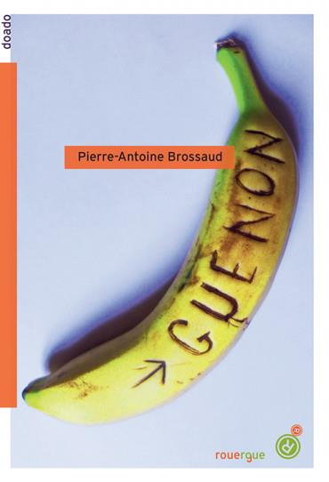 Emprunter Guenon livre