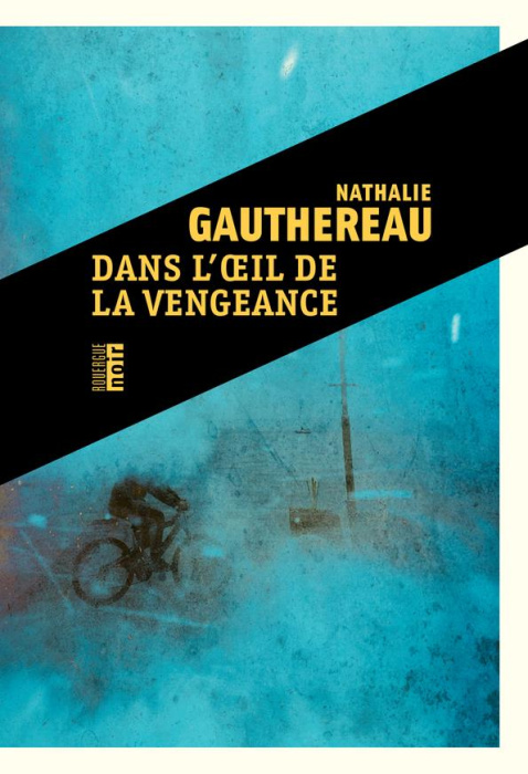 Emprunter Dans l'oeil de la vengeance livre