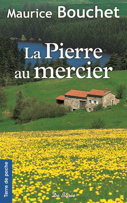 Emprunter La pierre au mercier livre