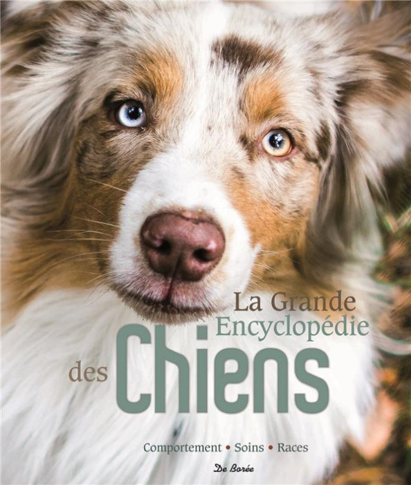 Emprunter La grande encyclopédie des chiens / Comportement, soins, races livre