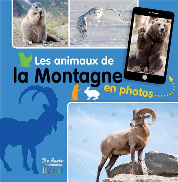 Emprunter Les animaux de la montagne en photos livre