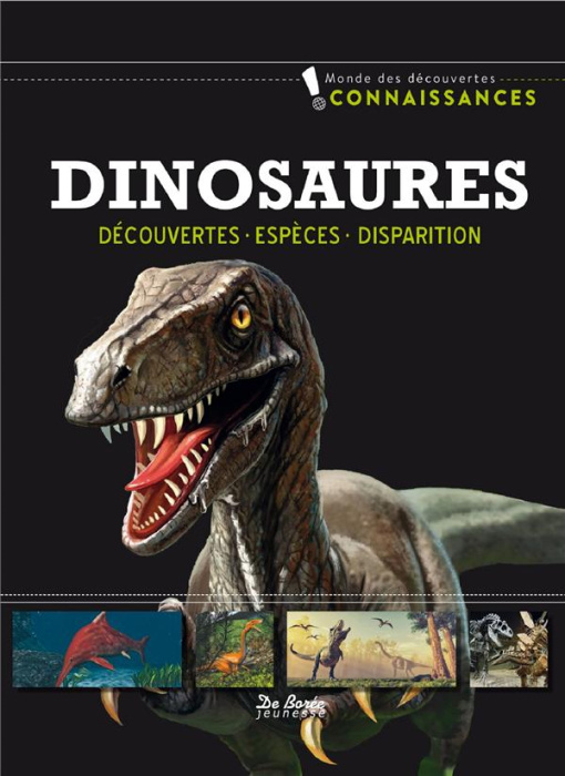 Emprunter Dinosaures livre