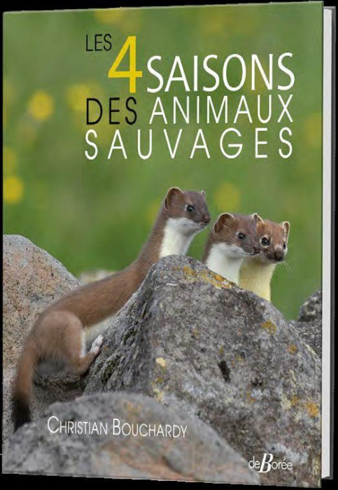 Emprunter Les 4 saisons des animaux sauvages livre