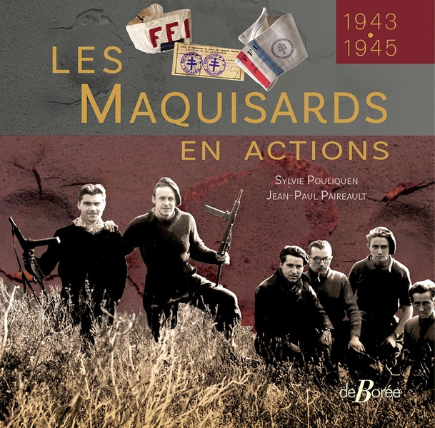Emprunter Les maquisards en actions livre