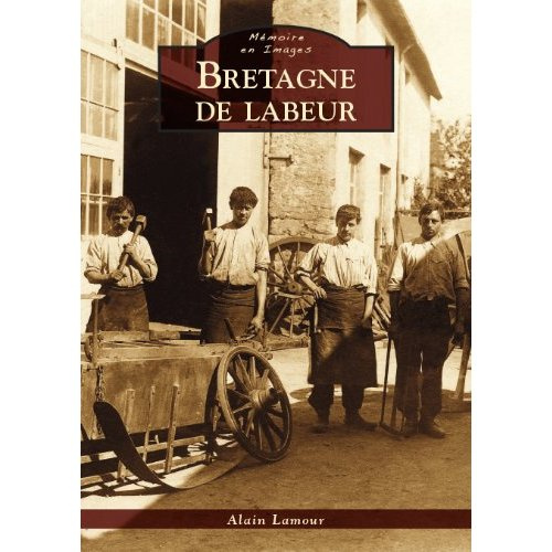 Emprunter BRETAGNE DE LABEUR livre