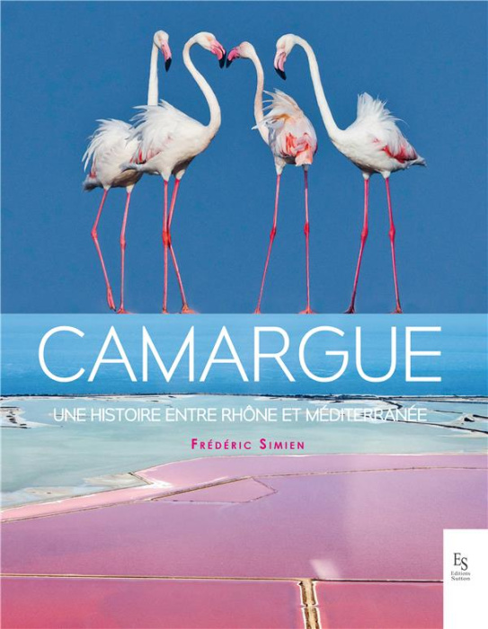 Emprunter CAMARGUE, UNE HISTOIRE EN TRE RHONE ET MEDITERRANEE livre