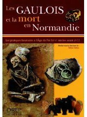 Emprunter LES GAULOIS ET LA MORT EN NORMANDIE. LES PRATIQUES FUNERAIRES A L'AGE DU FER (VIIE-IER SIECLES AVANT livre