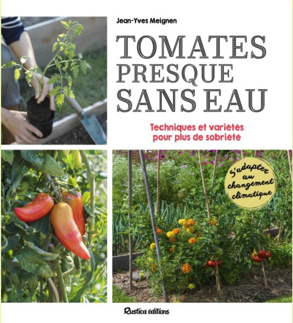 Emprunter Tomates presque sans eau. Conseils, astuces et variétés pour plus de sobriété livre