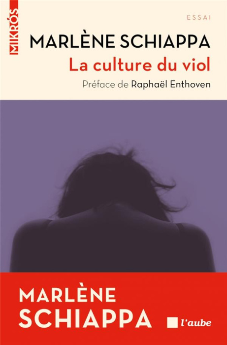 Emprunter La culture du viol livre