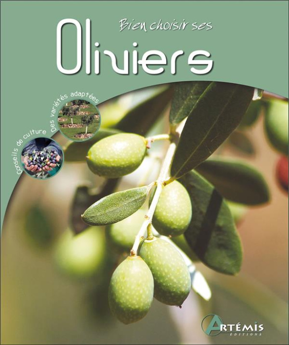 Emprunter Bien choisir ses oliviers livre