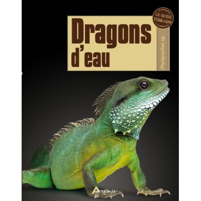 Emprunter Dragons d'eau livre