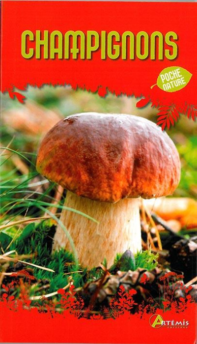 Emprunter Champignons livre