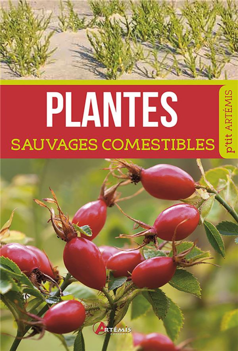 Emprunter Plantes sauvages comestibles livre