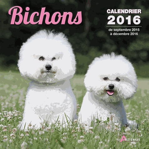 Emprunter CALENDRIER BICHONS - 2016 livre