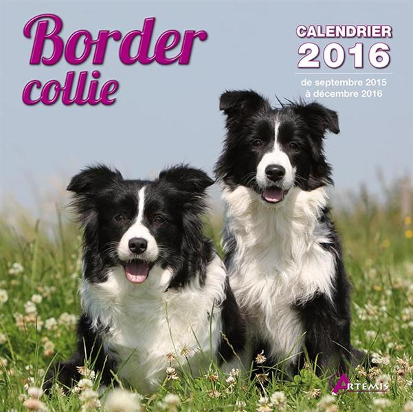 Emprunter Border collie. Calendrier 2016 livre