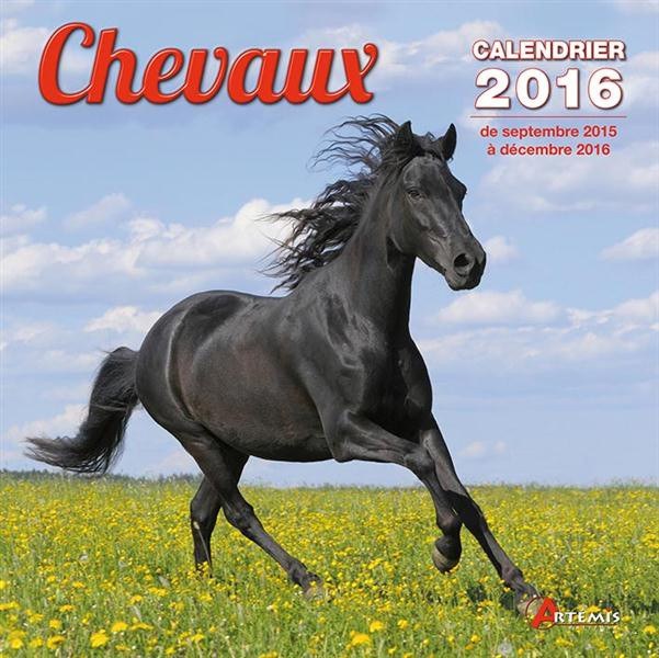 Emprunter CALENDRIER CHEVAUX - 2016 livre