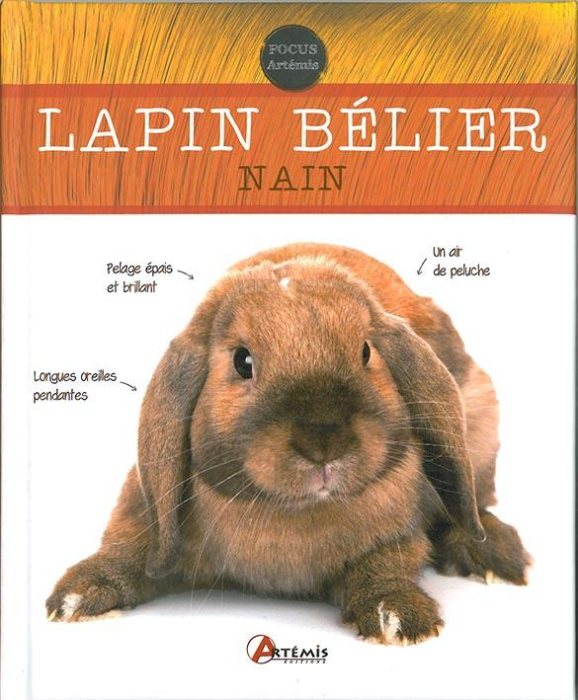 Emprunter Le lapin bélier nain livre