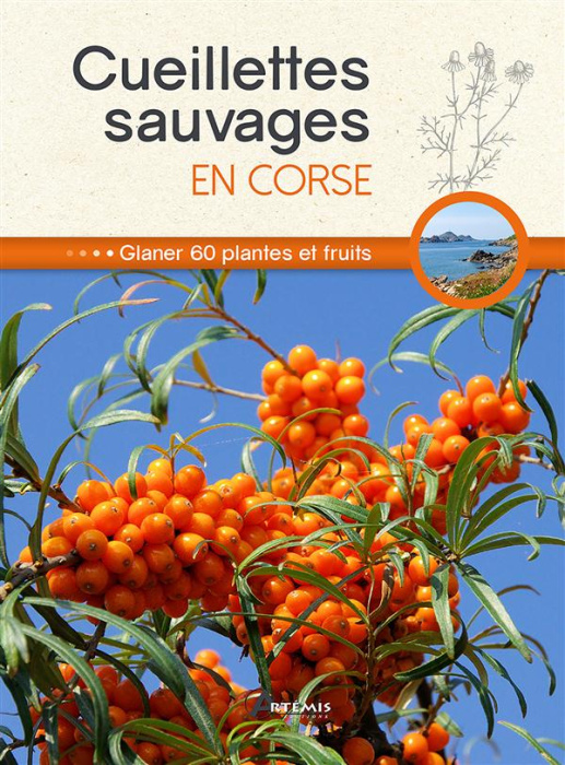 Emprunter Cueillettes sauvages en Corse. Glaner plantes et fruits livre