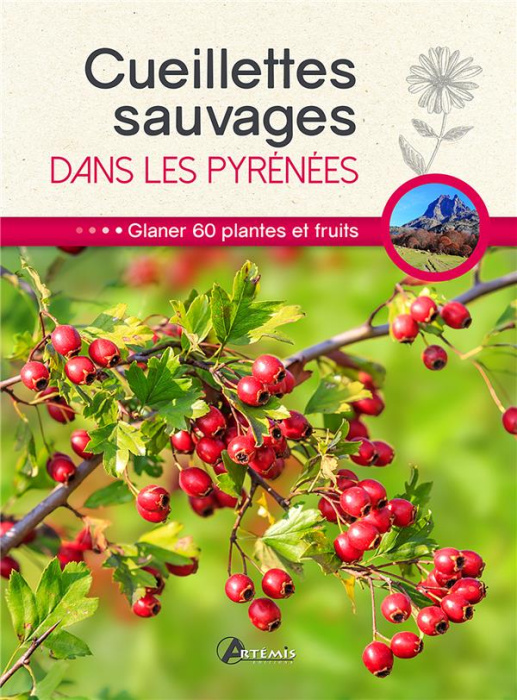 Emprunter Cueillettes sauvages dans les Pyrénées. 60 plantes et fruits à glaner livre