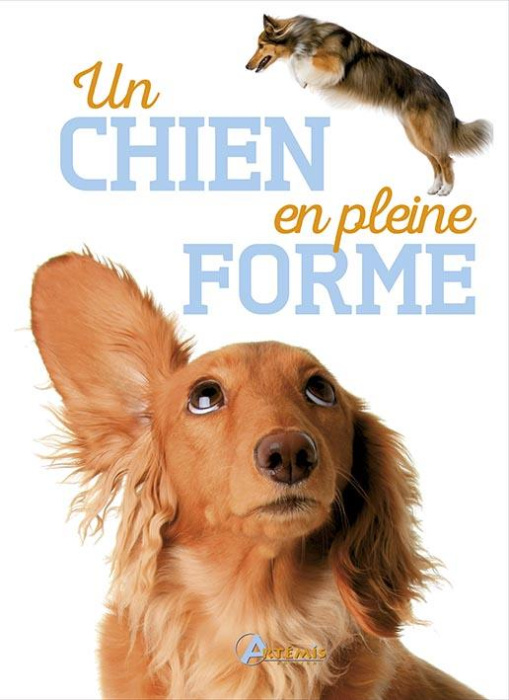 Emprunter Un chien en pleine forme livre