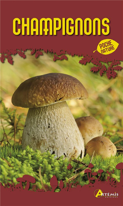 Emprunter Champignons livre
