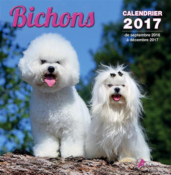 Emprunter CALENDRIER BICHONS 2017 livre