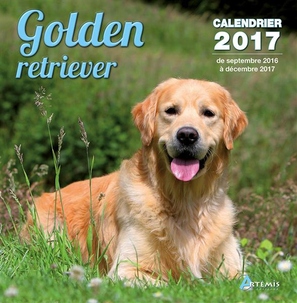 Emprunter CALENDRIER GOLDEN RETRIEVER 2017 livre