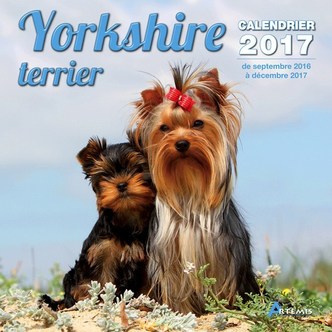 Emprunter CALENDRIER YORKSHIRE TERRIER 2017 livre