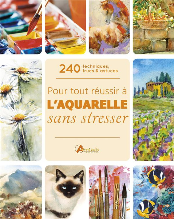 Emprunter 240 techniques, trucs & astuces pour tout réussir à l'aquarelle sans stresser livre