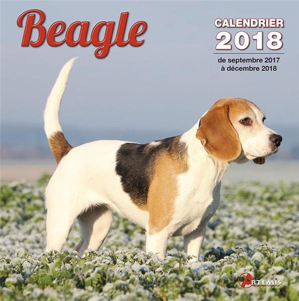 Emprunter BEAGLE (2018) livre