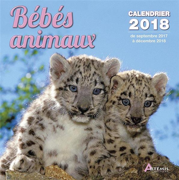 Emprunter BEBES ANIMAUX (2018) livre