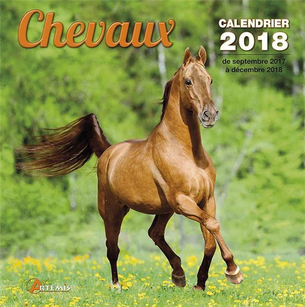 Emprunter CHEVAUX (2018) livre