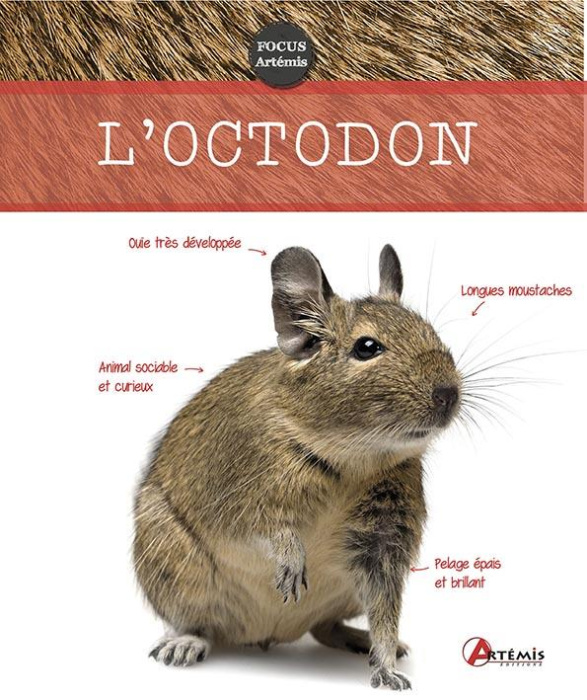 Emprunter L'octodon livre