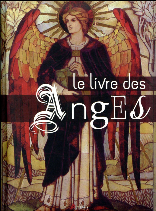 Emprunter Le livre des anges livre