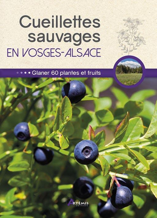 Emprunter Cueillettes sauvages en Vosges-Alsace. 60 plantes et fruits à glaner livre