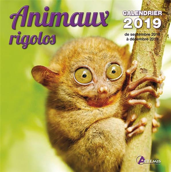Emprunter Animaux rigolos. Edition 2019 livre