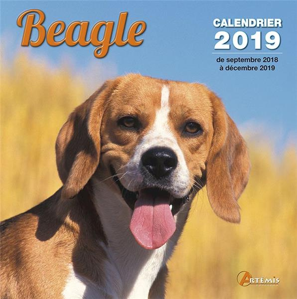 Emprunter Beagle. Edition 2019 livre