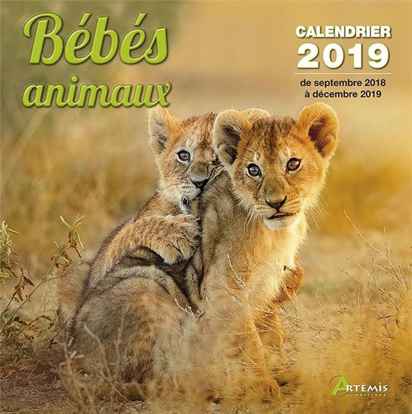 Emprunter Bébés animaux. Edition 2019 livre