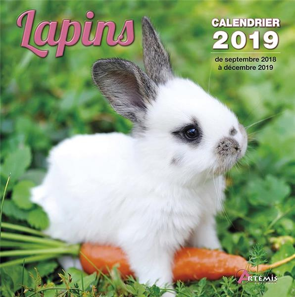 Emprunter Lapins. Edition 2019 livre