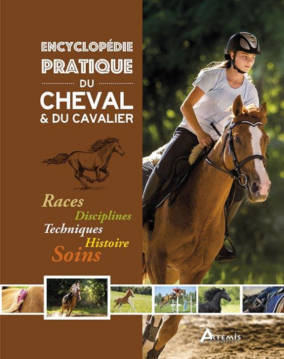 Emprunter Encyclopédie pratique du cheval & du cavalier livre