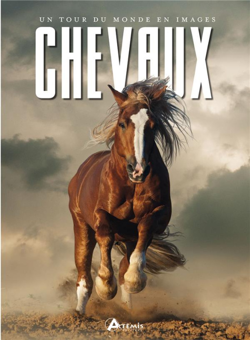 Emprunter Chevaux. Un tour du monde en images livre