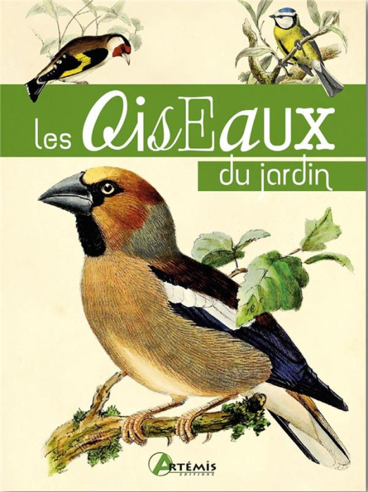 Emprunter Les oiseaux du jardin livre
