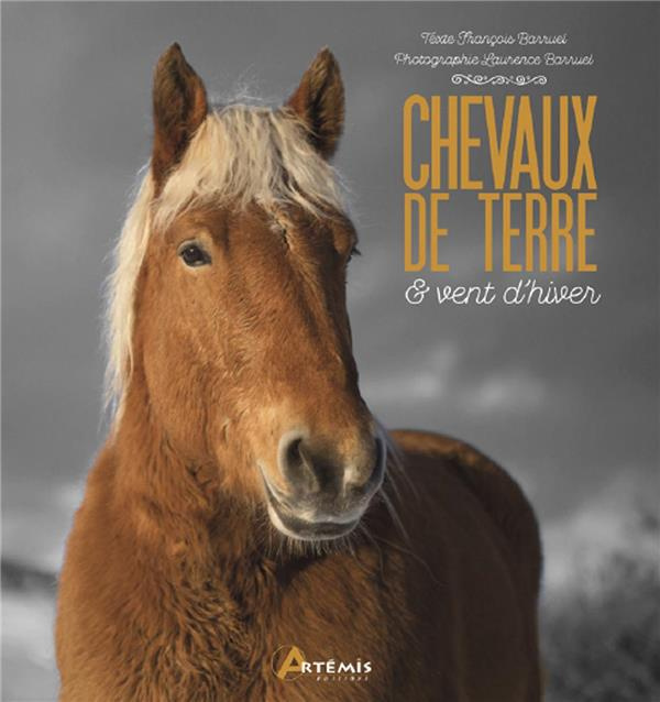 Emprunter Chevaux de terre & vent d'hiver livre