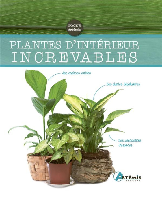 Emprunter Plantes d'intérieur increvables livre