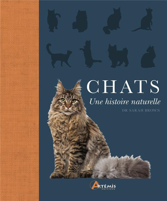 Emprunter Chats. Une histoire naturelle livre