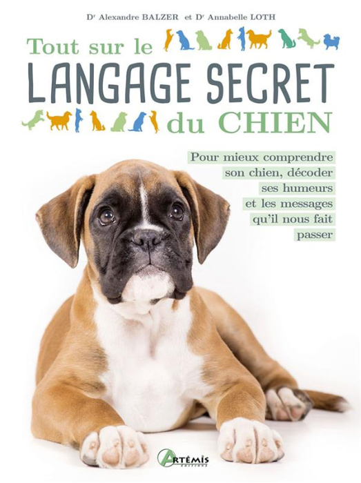 Emprunter Tout sur le langage secret du chien livre