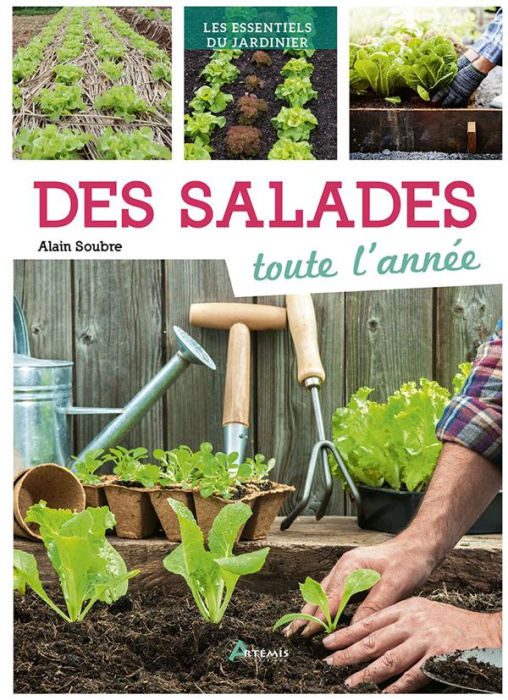 Emprunter Des salades toute l'année livre