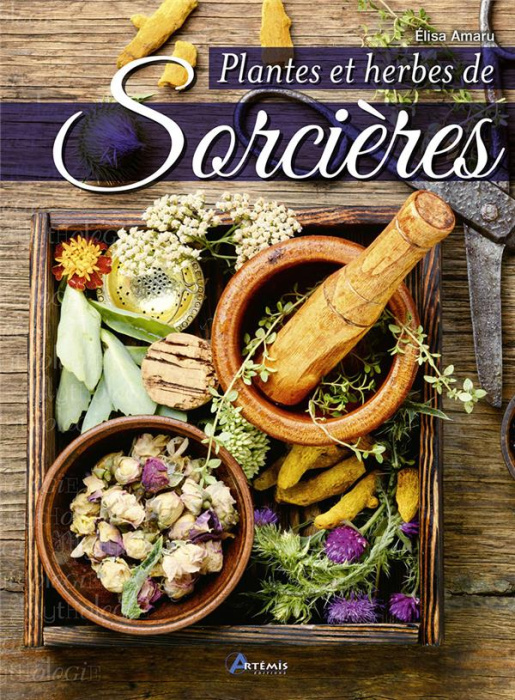 Emprunter Plantes et herbes de sorcières livre